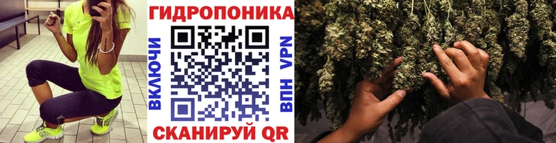 Конопля AK-47  Мончегорск 